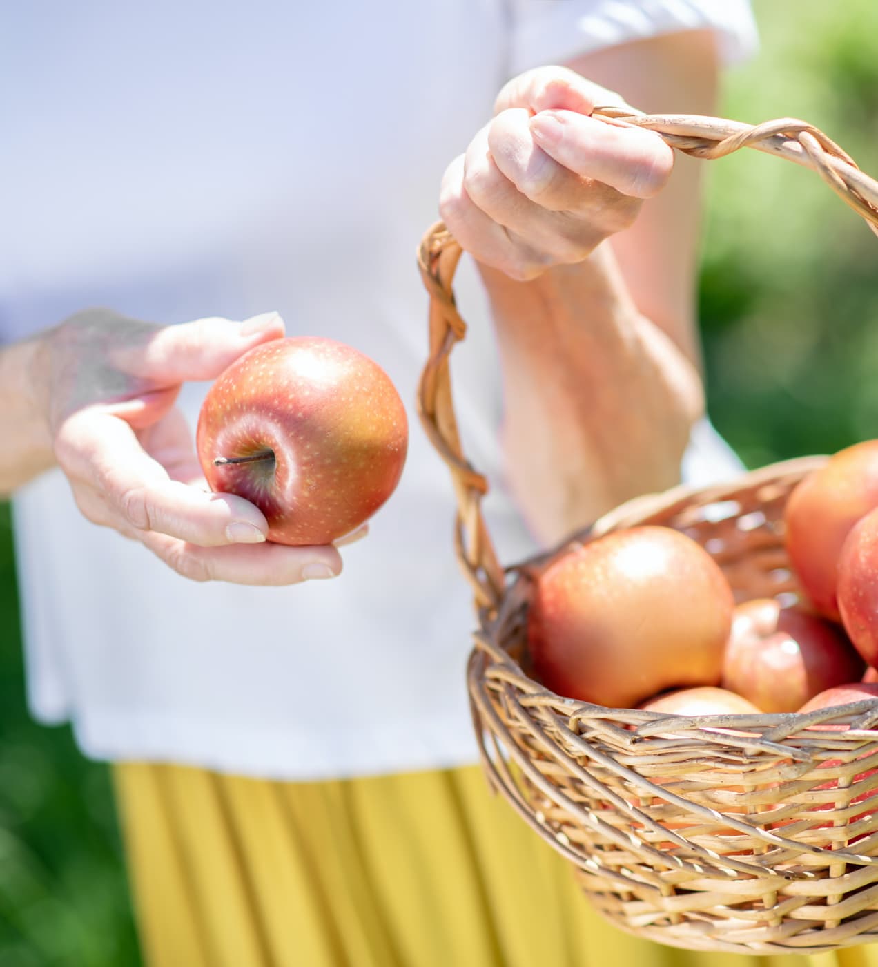 Close-up of the tasty Jonagold apple from Frutura © Philipp Platzer