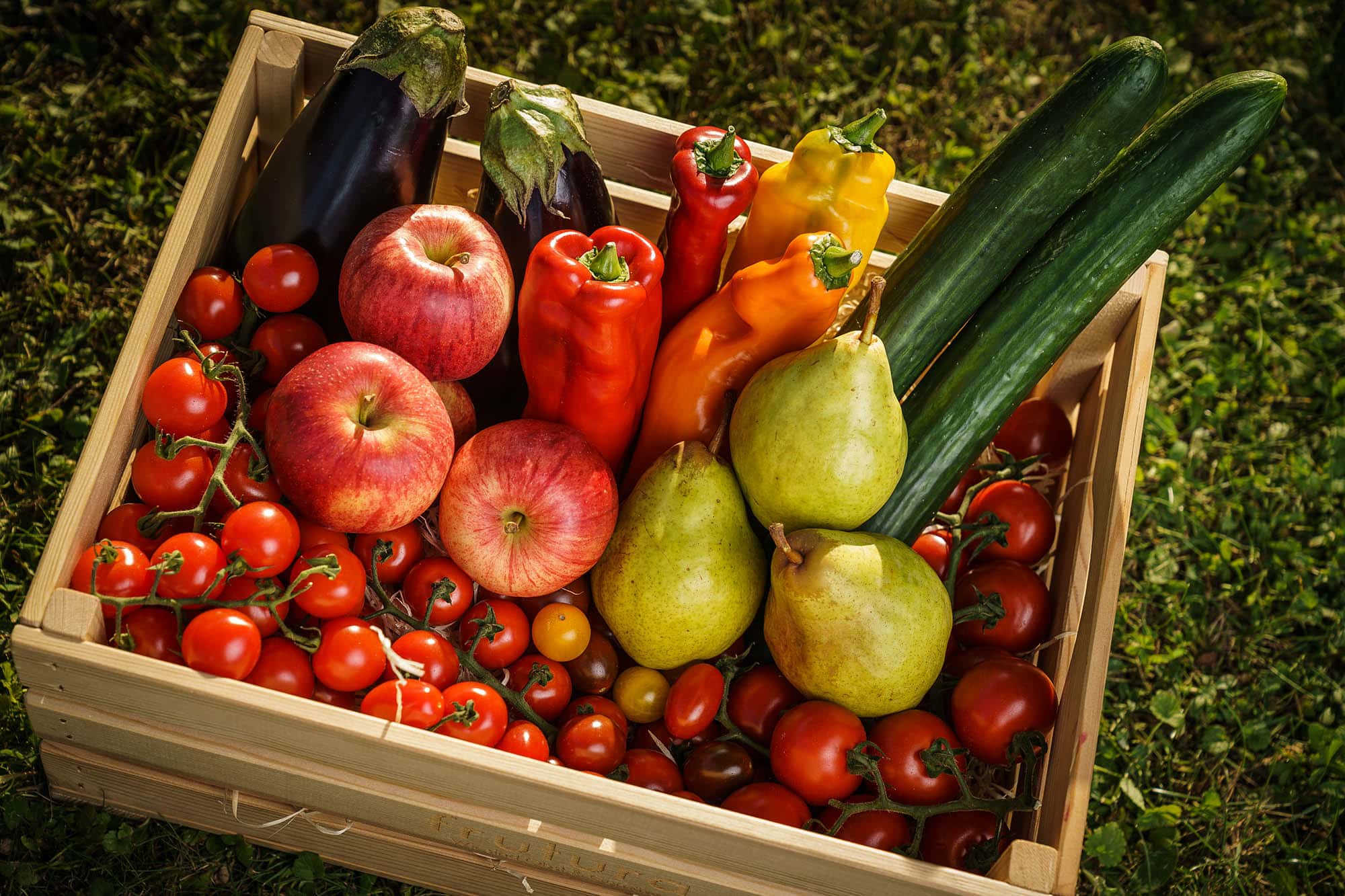 Filled basket with fresh fruits and vegetables from the sustainable producer Frutura © Sarah Katharina