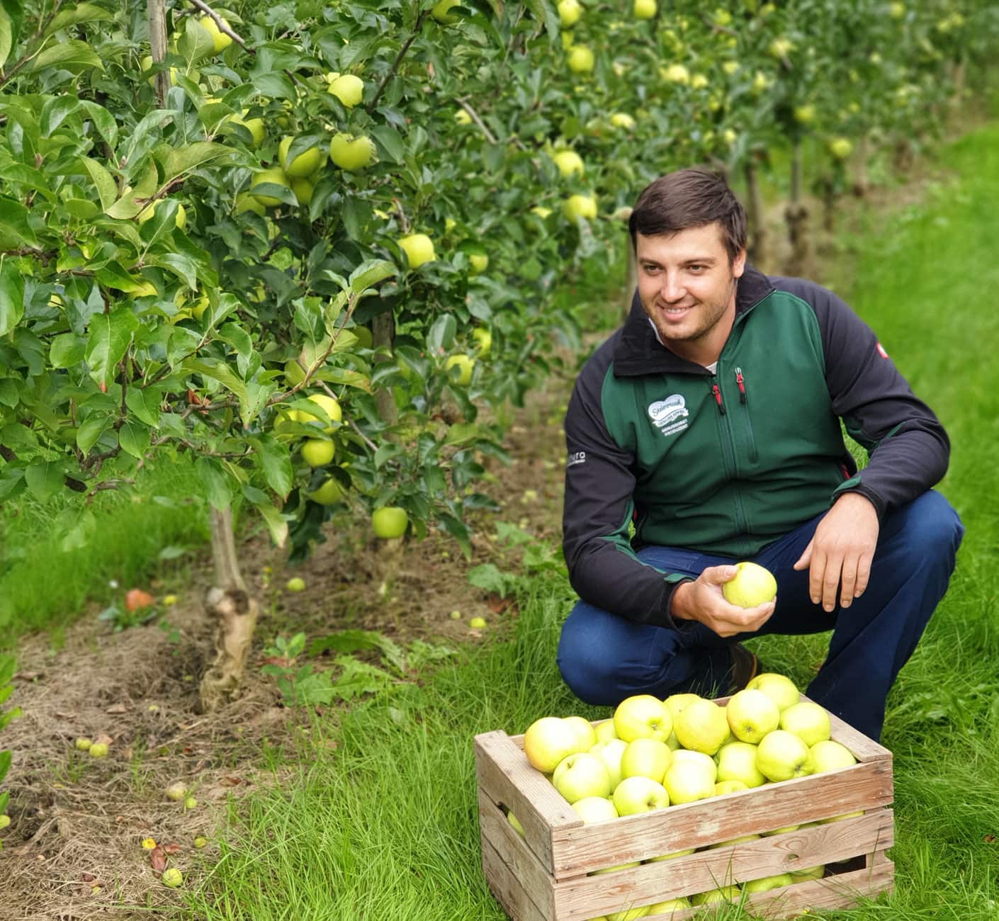 Frutura gardener picking the tasty Steiermark Genuss apples © Philipp Platzer