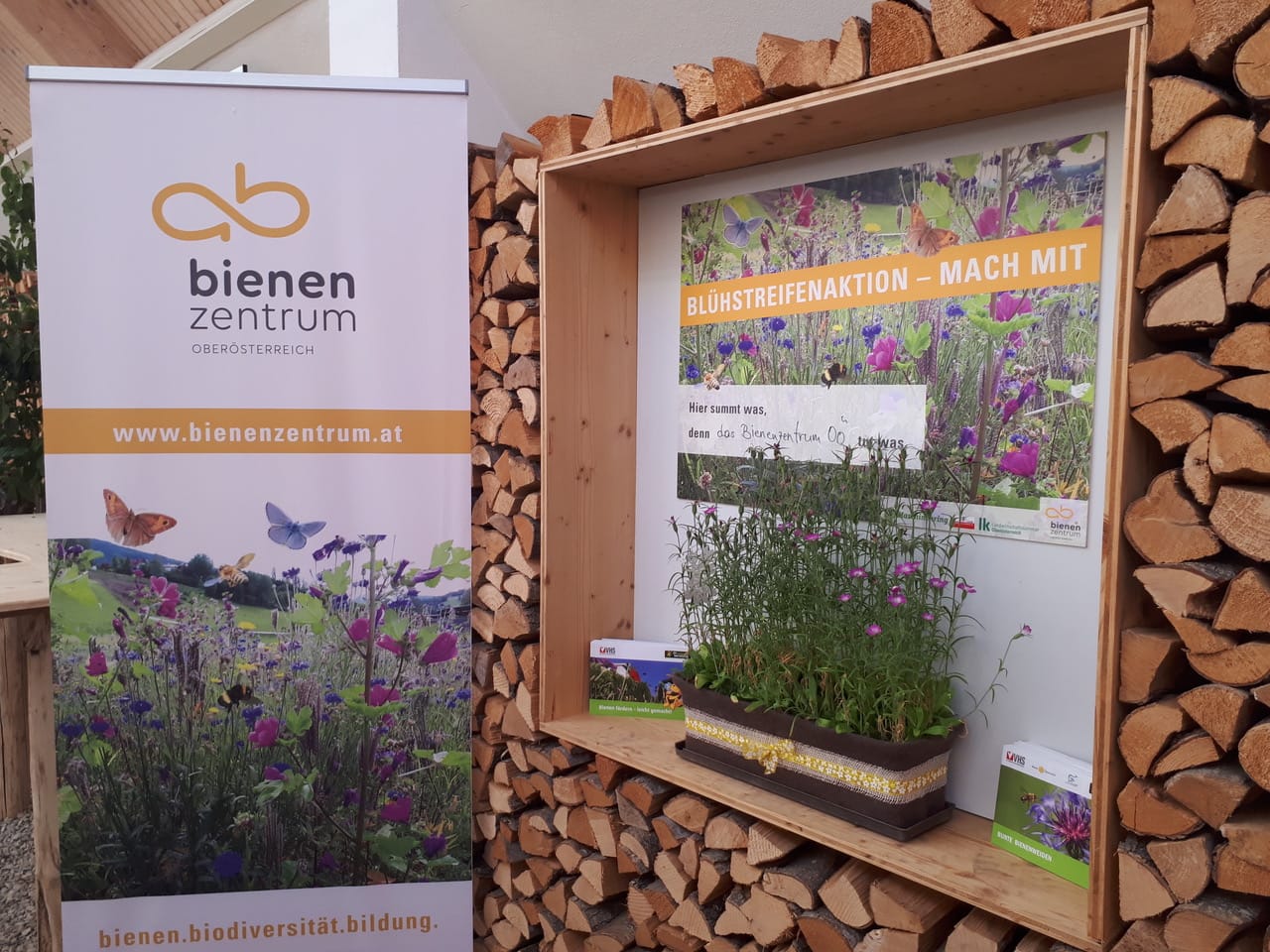 Aufsteller, Plakat und Wiesenblumen in einem Topf vom Bienen Zentrum Oberösterreich