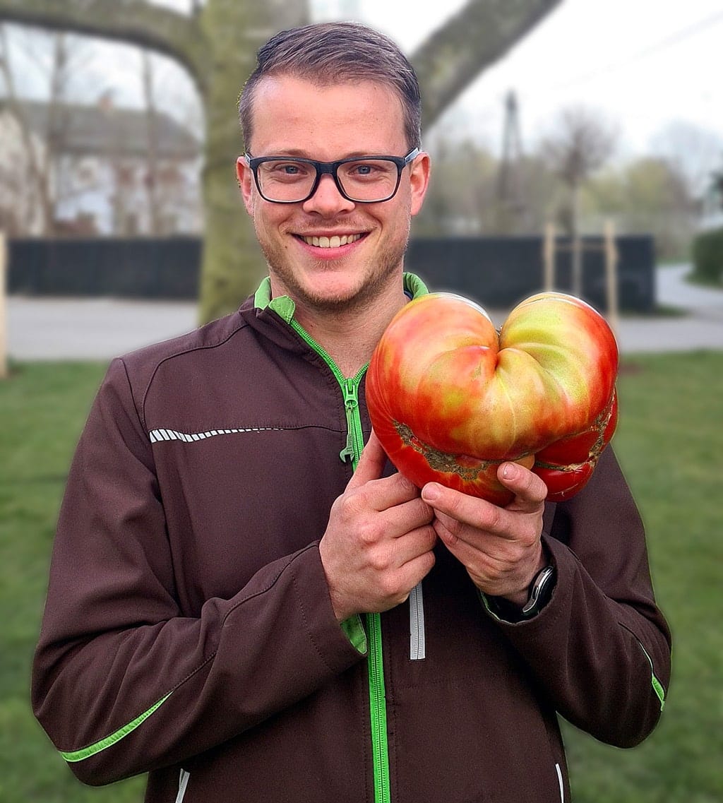Neuer Rekord: Die größte Tomate Österreichs