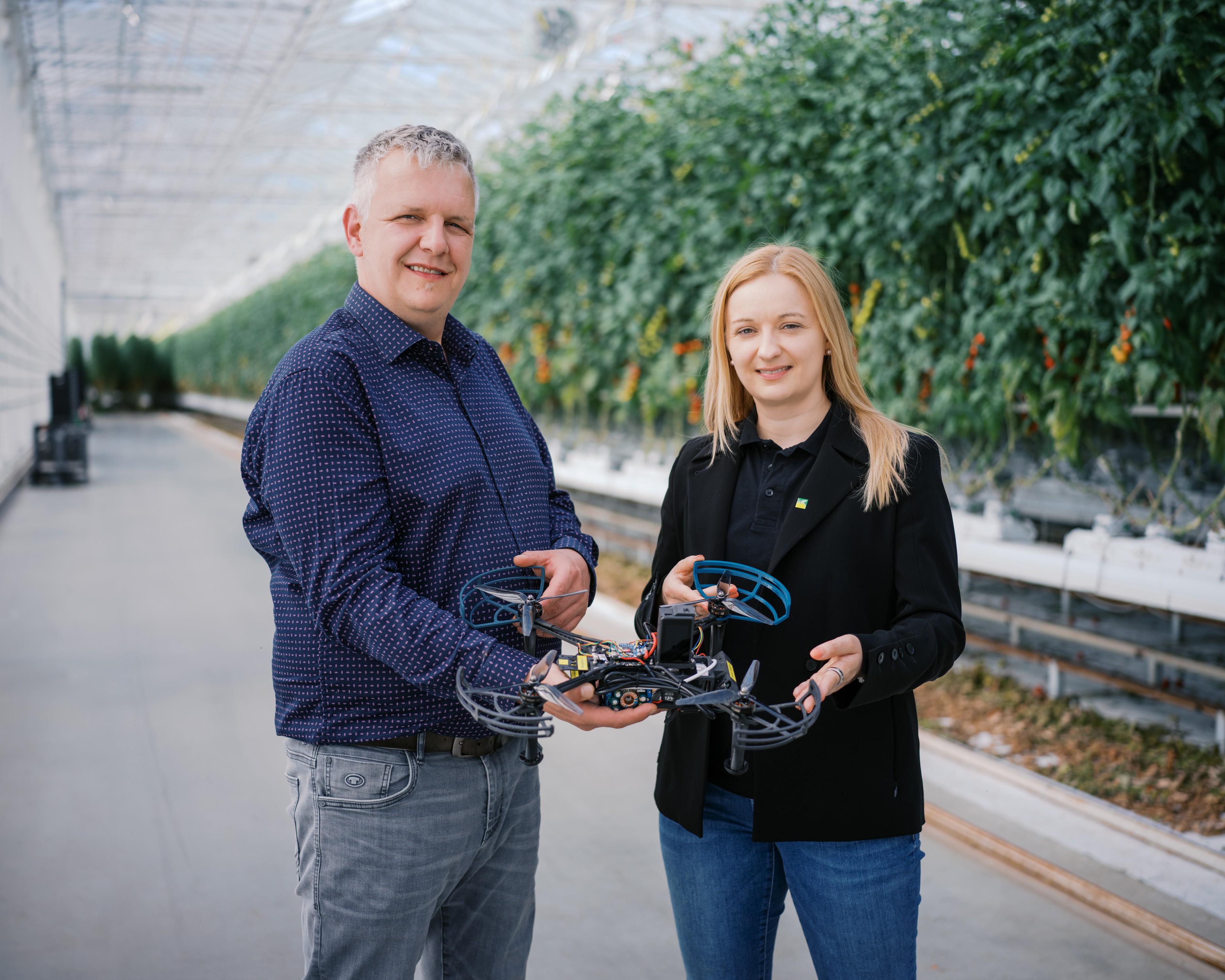 Frutura setzt auf KI in der Tomatenproduktion – Partnerschaft mit avemoy